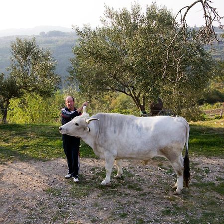 Tourist Farm Robivera Šmarje Eksteriør bilde