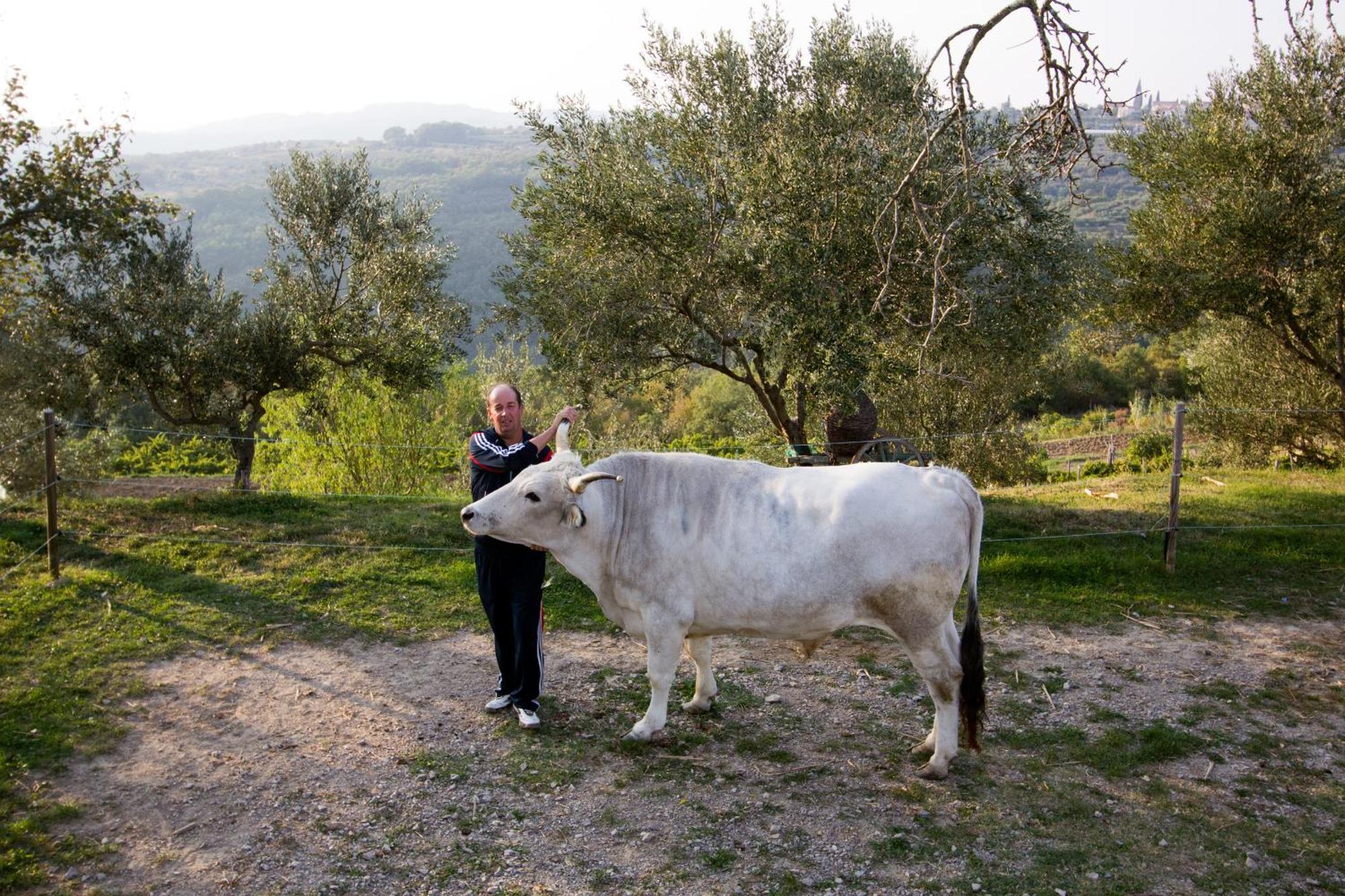 Tourist Farm Robivera Šmarje Eksteriør bilde
